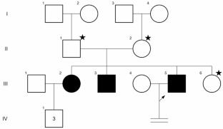 Uncovering the CLCN1 Y150* nonsense variant in myotonia congenita: genetic evidence from segregation analysis