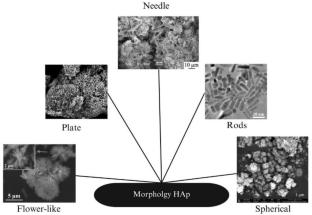 Seashell-derived calcium for hydroxyapatite synthesis: a review enhancing mechanical and biological performance through advanced methods and modifications