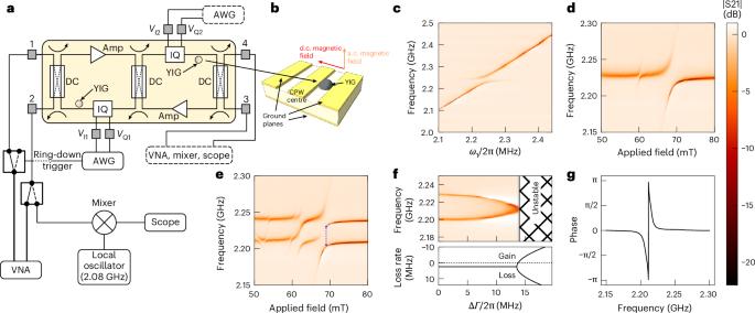 Coherent control of magnon–polaritons using an exceptional point