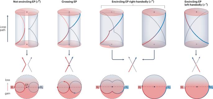 Magnon-polaritons dance around exceptional points