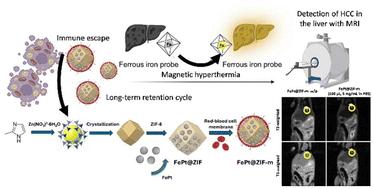 Biomimetic red blood cell membrane-coated FePt metal–organic framework nanoparticles: a multifunctional theranostic system for enhanced MRI and targeted therapy