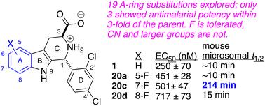 Benzo-ring modification on Malaria Box hit MMV008138: effects on antimalarial potency and microsomal stability