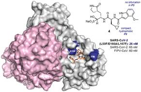 Structural insights into the nirmatrelvir-resistant SARS-CoV-2 Mpro L50F/E166A/L167F triple mutant-inhibitor-complex reveal strategies for next generation coronaviral inhibitor design