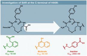 Novel macrocyclic peptidomimetics targeting the insulin-regulated aminopeptidase (IRAP): design, synthesis and evaluation