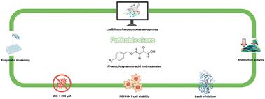 Identification of novel N-benzyloxy-amino acid hydroxamates as inhibitors of the virulence factor LasB from Pseudomonas aeruginosa†