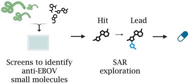 Small molecule drug discovery for Ebola virus disease