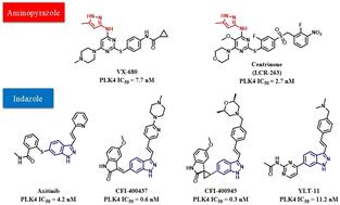Design, synthesis, and biological evaluation of 5-chlorine-2-amino-pyrimidine derivatives as potent PLK4 inhibitors†