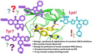 A twist in the tale: shifting from covalent targeting of a tyrosine in JAK3 to a lysine in MK2†