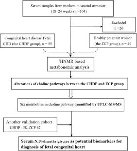 Identification of serum N,N-dimethylglycine as a potential biomarker for prenatal diagnosis of congenital heart disease using 1HNMR and UPLC-MS/MS metabonomics