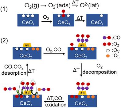 O2 Activation on Au/CeOX(111) Model Catalysts and Its Role in CO Oxidation
