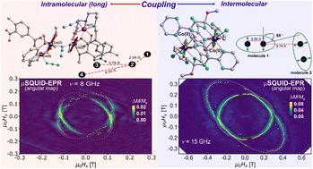 From strong to weak interaction: reconciling SQUID and μSQUID-EPR data in anomalous Co(ii) dimers