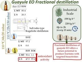 Fractional distillation of guayule essential oils: Volatile characterization and antioxidant activity