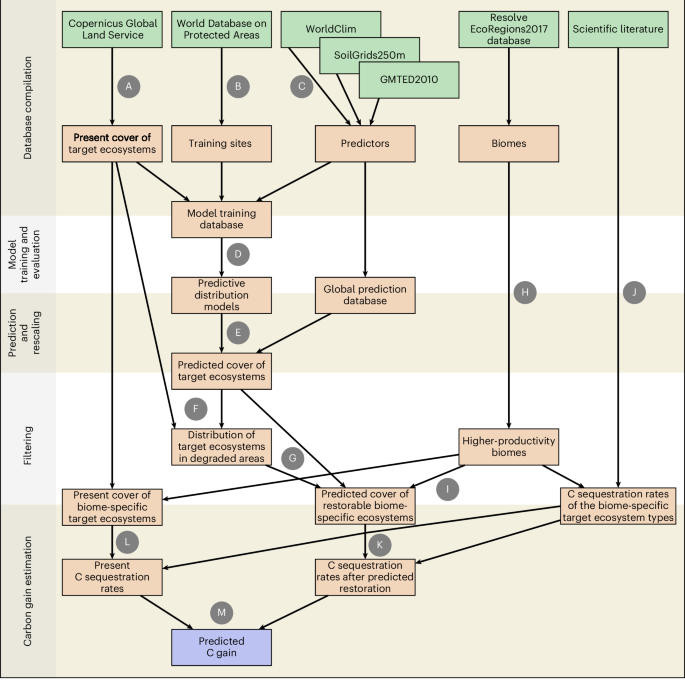 Limited carbon sequestration potential from global ecosystem restoration
