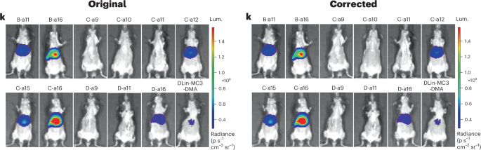 Author Correction: Mannich reaction-based combinatorial libraries identify antioxidant ionizable lipids for mRNA delivery with reduced immunogenicity