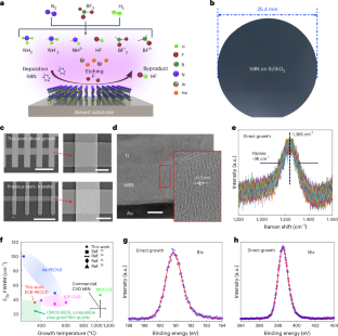 On-chip direct synthesis of boron nitride memristors