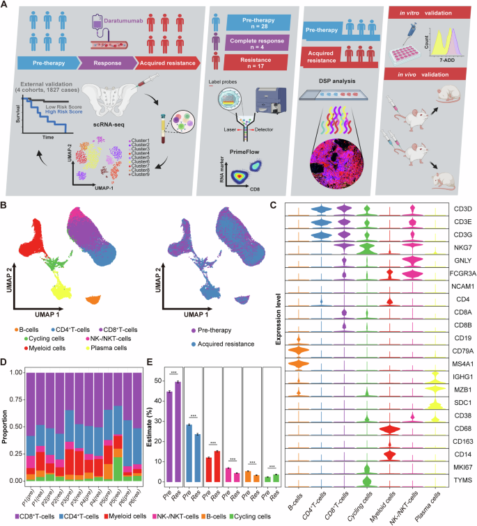 The bone marrow immune ecosystem shapes daratumumab acquired resistance in plasma cell myeloma
