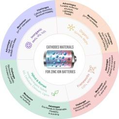 Progress in cathode materials for rechargeable Zinc-Ion batteries: from inorganic and organic systems to hybrid frameworks and biomass-derived innovations