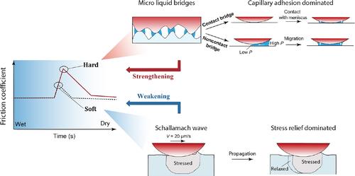 Impact of elastic instabilities on friction induced by capillary adhesion