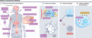 Advancing engineering design strategies for targeted cancer nanomedicine