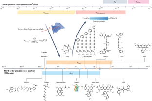 Theory, innovations and applications of stimulated Raman scattering microscopy