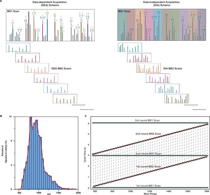 Development and application of GlycanDIA workflow for glycomic analysis