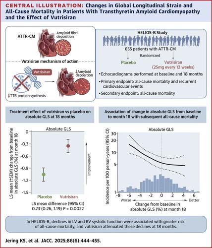 Effects of Vutrisiran on Cardiac Function and Outcomes in Patients With Transthyretin Amyloidosis With Cardiomyopathy