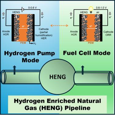 Unitized bifunctional electrochemical hydrogen pumps for hydrogen-enriched natural gas