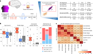Alzheimer’s disease transcriptional landscape in ex vivo human microglia
