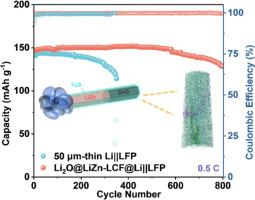Dual Lithiophilic Li2O@LiZn sites towards practical Lithium metal batteries