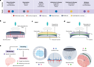 Ultrasound brain stimulation technologies for targeted therapeutics