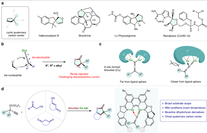 Enantioselective construction of cyclic quaternary stereocenters via dinuclear copper catalyzed asymmetric [3 + 2] propargylation/annulation