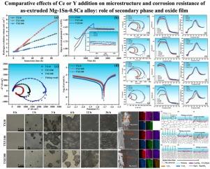 Comparative effects of trace Ce or Y addition on microstructure and corrosion resistance of as-extruded Mg-1Sn-0.5Ca alloy: Role of secondary phase and oxide film