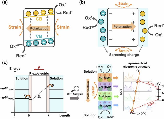 Understanding piezocatalysis of barium titanate in solution from quantum-continuum-electrochemical theory