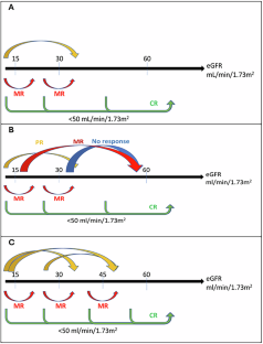 Refining renal response assessment in monoclonal immunoglobulin deposition disease: Challenges, limitations and need for consensus