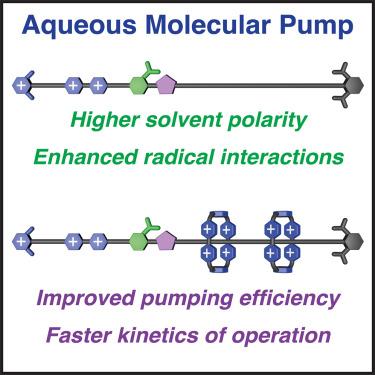 An aqueous artificial molecular pump