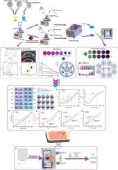 Co-adjustment of chitosan-based film structure by pH and anthocyanin concentration for the development of reshness-indicating labels on chilled mutton