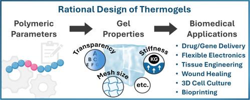 Polymeric thermogels: Fundamentals and strategies for their rational design