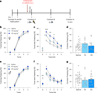 Serotonergic modulation of the BNST–CeA pathway reveals sex differences in fear learning