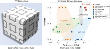 Damage tolerance and cyclic stability of 3D-architected Al2O3/polymer composites