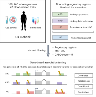 Noncoding rare variant associations with blood traits in 166,740 UK Biobank genomes