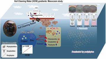 Effects of hull cleaning wastewater on coastal plankton community: a mesocosm experiment