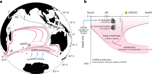 Elevated shallow water salinity in the deglacial Indian Ocean was sourced from the deep