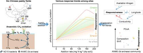 Dose-response patterns of anaerobic oxidation of methane to nitrogen addition in Chinese paddy fields