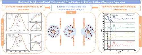 Mechanistic Insights into Electric Field-Assisted Nanofiltration for Efficient Lithium-Magnesium Separation
