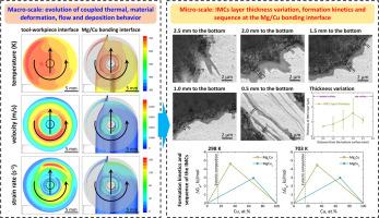 Dissimilar friction stir welding between AZ31 magnesium alloy and pure copper: Evolution mechanism from macro to micro scales