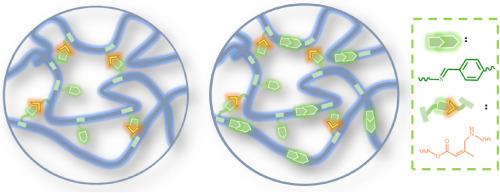 Balancing Mechanical Performance and Repair Ability of Epoxy and Its Composites via Dual Dynamic Mechanism