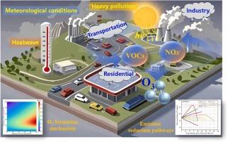 Scenario-dependent O3 driver identification and formation responses to VOCs/NOx emission reduction pathways from integrated and sectoral sources in the Beijing-Tianjin-Hebei region, China
