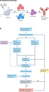 Fifty years of monoclonals: the past, present and future of antibody therapeutics