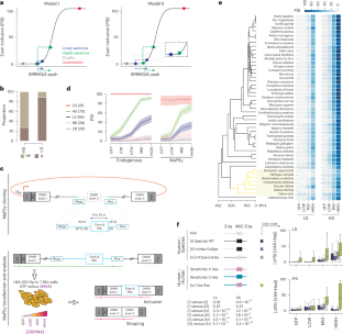 Core splicing architecture and early spliceosomal recognition determine microexon sensitivity to SRRM3/4