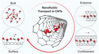Carbon nanotube nanofluidics†
